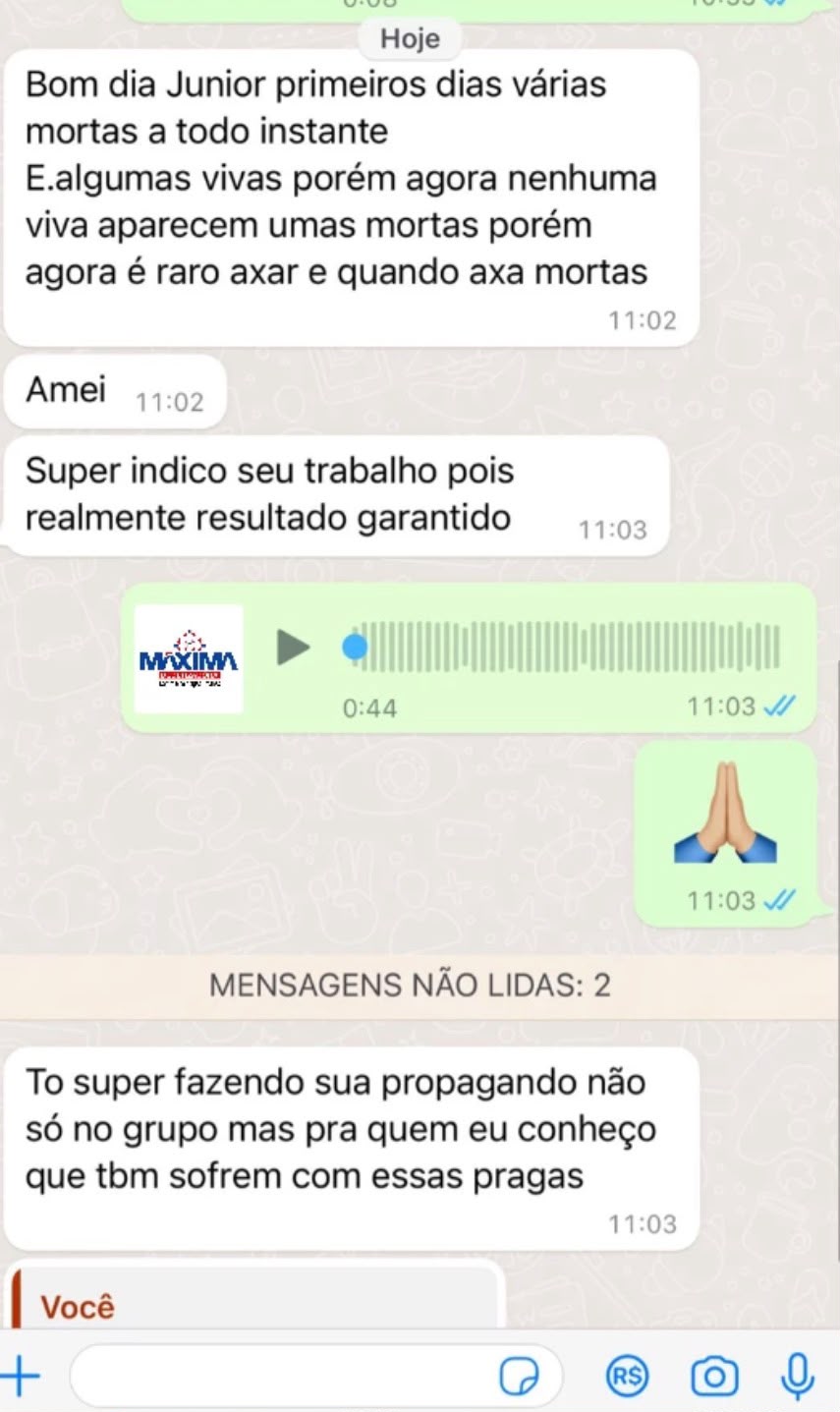 Avaliação de cliente indicando o serviço por resultado garantido